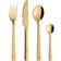 aida Raw Gold Cutlery Set 24pcs