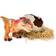 Spin Master Primal Hatch Interactive Hatching Dino 6072462