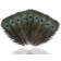 Neel Blue Real Peacock Feather Plume 100pcs