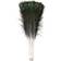 Neel Blue Real Peacock Feather Plume 100pcs