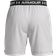 Under Armour Shorts UA Vanish Woven 6in Shorts-BLK 1373718-002