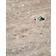 House Doctor Fula Sidobord Beige Ø45 45x51cm Soffbord