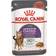 Royal Canin Appetite Control Care Thin Slices In Gravy