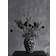 Muubs Soil Black Vase 21.5cm