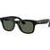 Ray-Ban x Meta Wayfarer Gen 2 RW4012 601/71 - Shiny Black