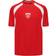 UEFA Adults Euros Denmark 2025 T-shirt