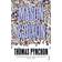 Mason & Dixon (Paperback, 1998)