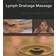 The Complete Guide to Lymph Drainage Massage (Geheftet, 2011)