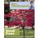 Alan Titchmarsh How to Garden: Small Trees (Paperback, 2012)
