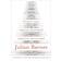 Through the Window: Seventeen Essays (and one short story) (Paperback, 2012)