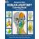 Human Anatomy (Häftad, 1982)
