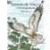 Birds of Prey Coloring Book (Coloring Books) (Paperback, 1990)