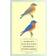 Sibley Backyard Birding Postcards: 100 Postcards