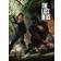 The Art of the Last of Us (Hardcover, 2013)