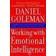 Working with Emotional Intelligence (Paperback, 2000)