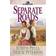 Separate Roads (Ribbons West)