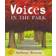 Voices In The Park (Paperback, 1999)