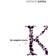 Complete Novels of Kafka (Häftad)