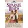 Separate Roads (Ribbons West)