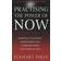 Practising the Power of Now (Hæftet, 2002)