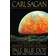 Pale Blue Dot: a Vision of the Human Future in Space (Hæftet, 1997)