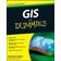 GIS for Dummies (Häftad, 2009)