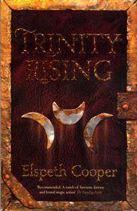 Trinity Rising: The Wild Hunt Book Two (Paperback, 2013)