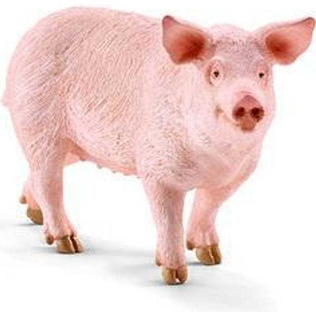 Schleich Farm World Pig