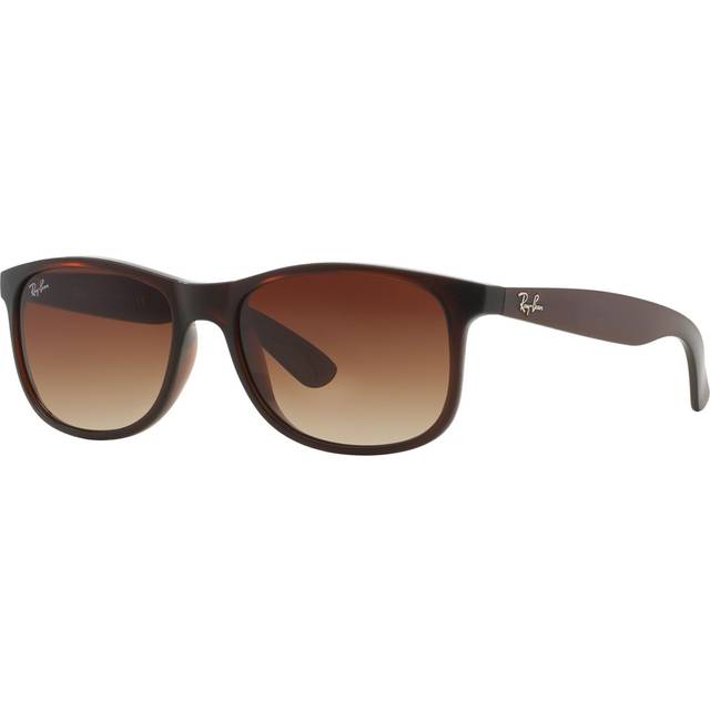 Ray-Ban Andy RB 4202 607313