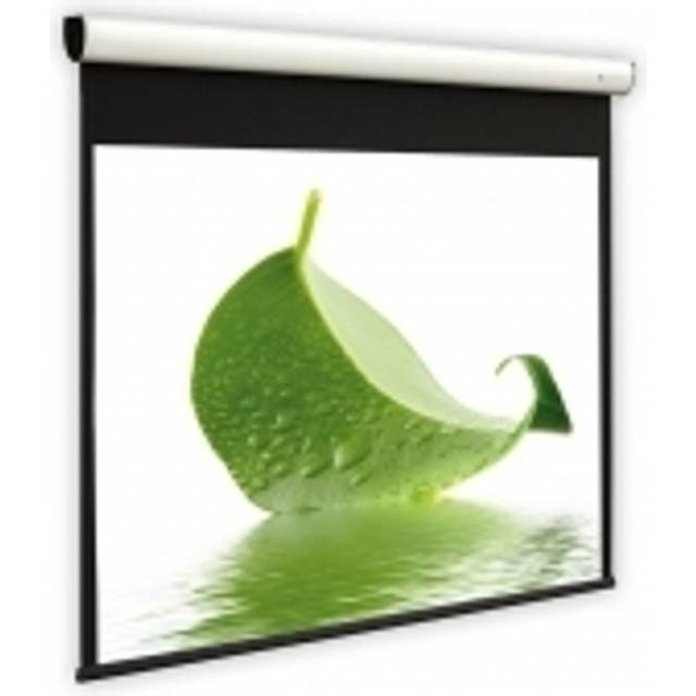 DELUXX Cinema Electric Screen Elegance 16:9 Matt White Varico Flat 305 x 172 cm