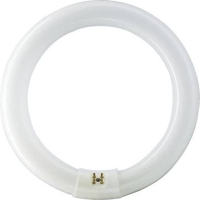28474715 Bulb G10q 40W 840 3200lm master tl-e Circular Super 80 Cold White - Philips