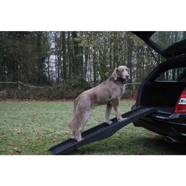 Nobby Plastic Car Ramp