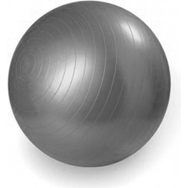 Master Fitness Gymboll 75 CM