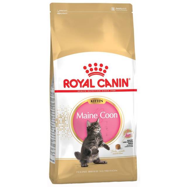 Royal Canin Maine Coon Kitten - 10 kg
