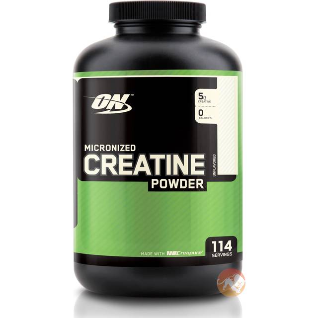 Optimum Nutrition Micronized Creatine Powder 634 g