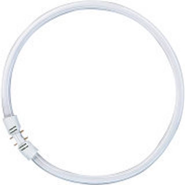 Flos - Button Light Bulb 2GX13 22W - transparent/1800lm