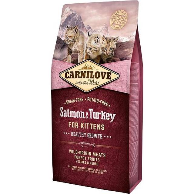 Salmon & Turkey Kittens Healthy Growth Torrfoder för Kattungar - 6 kg