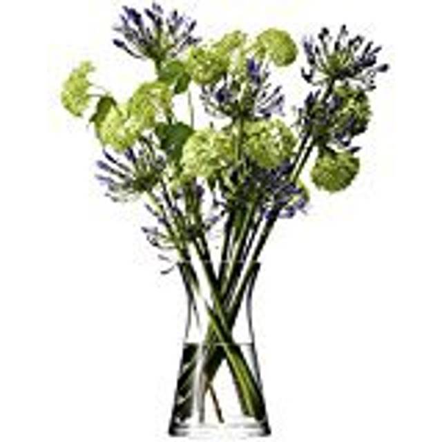 LSA International Flower Bouquet Flared Vase, H29cm, Clear