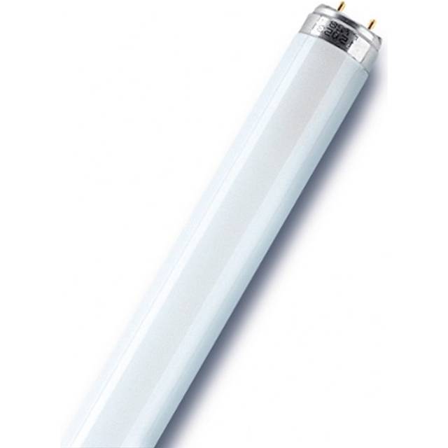 Osram T8 Relax L fluorescent bulb 36 W G13 Warm white