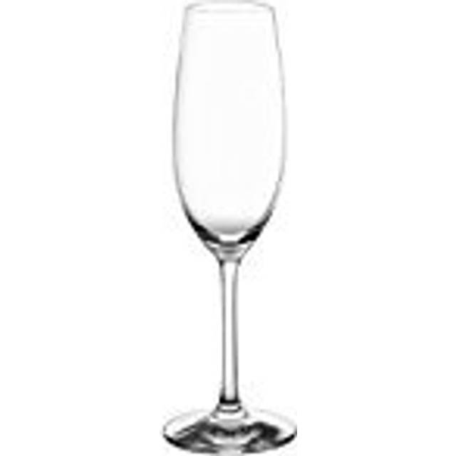 Schott Zwiesel Ivento Champagne flute 230ml (Pack of 6)