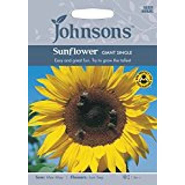 Johnsons Sunflower Giant Single Seeds