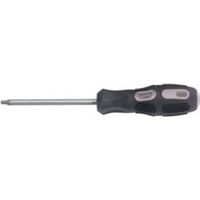Draper Expert 40052 Draper Tx-star Driver T20 x 100mm Long