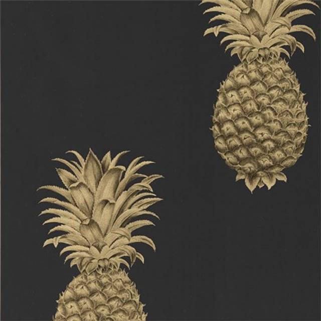 Pineapple Royale Graphite/Gold - 216326