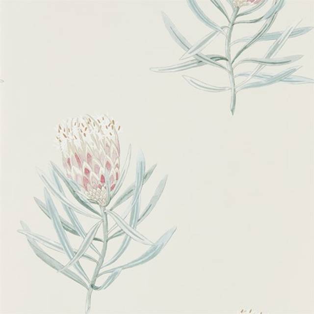 Protea Flower Porcelain/Blush - 216330