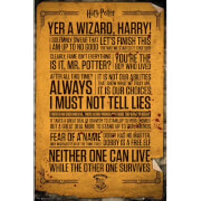 Harry Potter Poster Quotes 263
