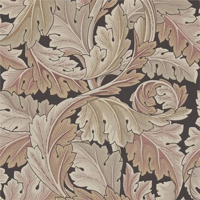 Acanthus Terracotta - 212551