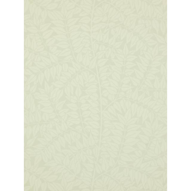 Branch Sage - 210375