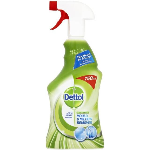 Dettol Mould and Mildew Remover 750ml 71815
