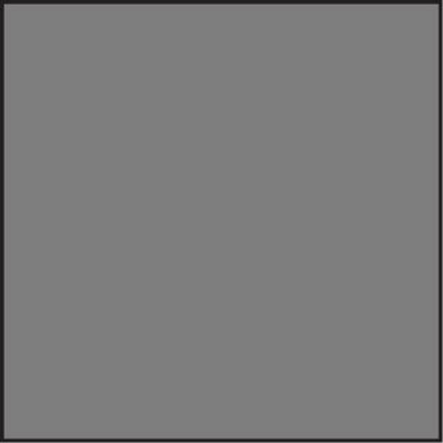 Lee SW150 Neutral Density 0.6 Standard Resin Filter