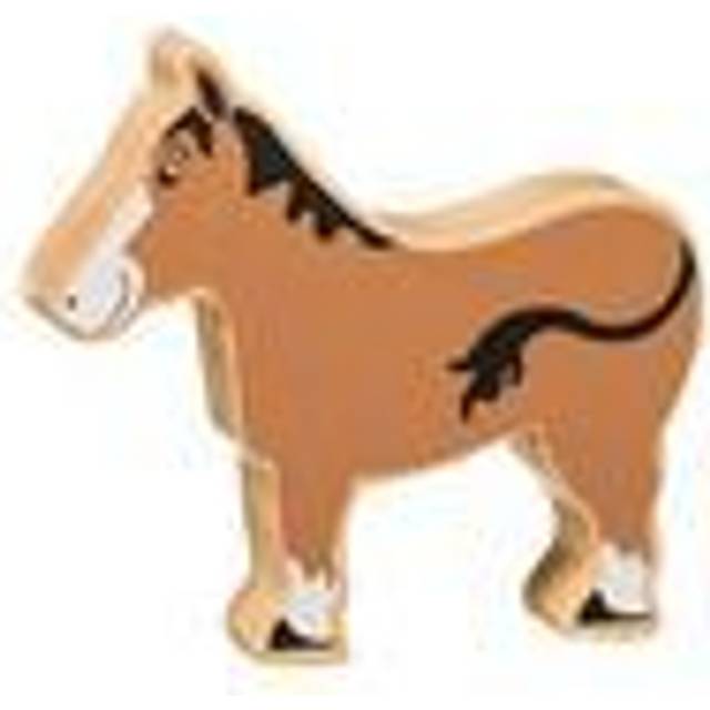 Lanka Kade brown horse